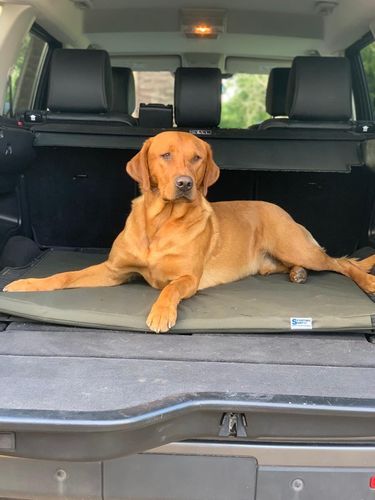 The Meadow Boot Dog Bed