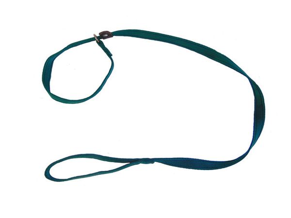 Cushion Web Slip Lead