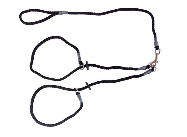 Brace Set - Slip Lead (2 Dogs)